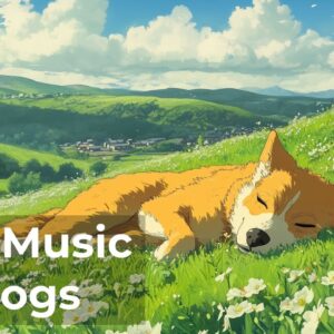 🔴 [LIVE] Calm Music for Dogs to Relax 24/7