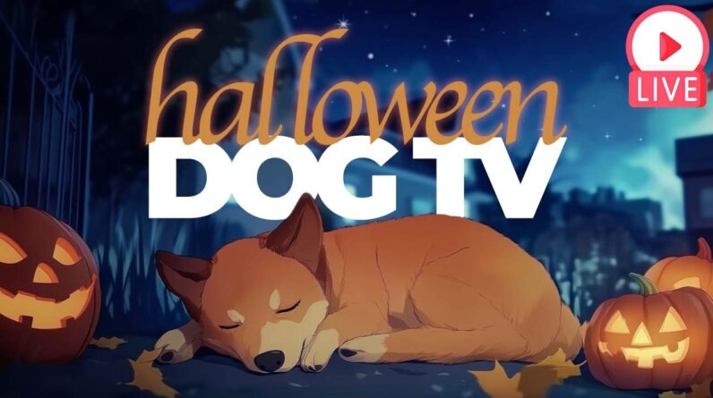 🎃 [LIVE] Halloween TV For Dogs! Spooky & Entertaining Video for Dogs to Watch (Halloween Special)