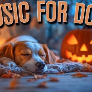 Spooky Loop Halloween Dog Music: Anti Noise Anxiety Music for Dogs