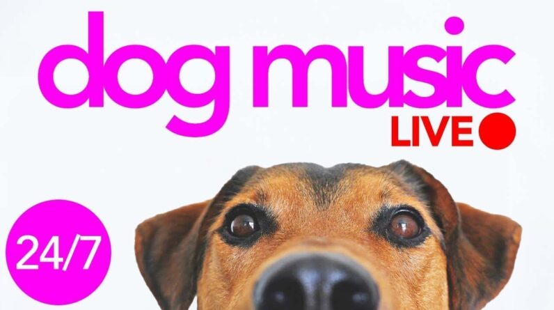 Dog Music LIVE - Soothing Sleep Sounds for Dogs - Gentle Relaxation Songs