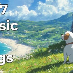 🔴 [LIVE] Soothing Calm Music for Dogs to Relax 24/7