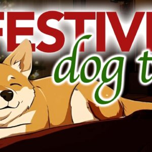 🎄 Christmas 24/7 Dog TV Stream - Relaxing Sounds and Visual for Dogs to Watch 🎊