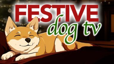 🎄 Christmas 24/7 Dog TV Stream - Relaxing Sounds and Visual for Dogs to Watch 🎊