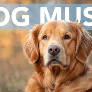 21st Feb Dog Music