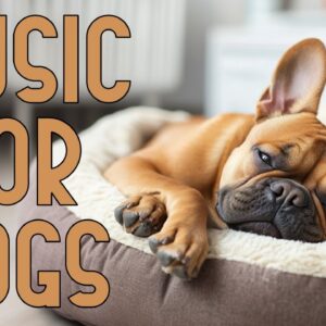 [AD FREE] Music for Dogs: Soothing Tones to Promote Sleep and Relaxation!