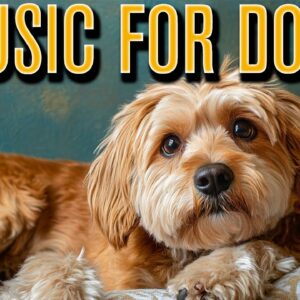 Music for Dogs 🐶 Prevent Anxiety and Depression with Relaxing Dog Music!