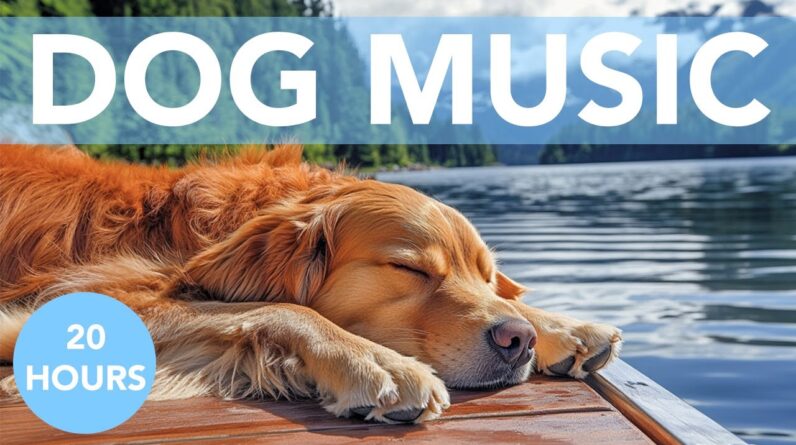 20 Hours of Dog Calming Music for Anxious Dogs, Puppies. Relax Any Breed FAST